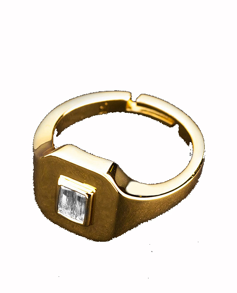 Gold Tone Ring