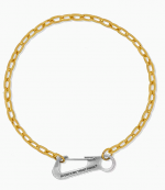 Steel Carabiner Gold Necklace
