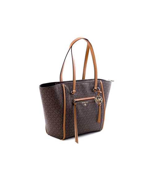 Brown Mini Logo Carine Medium Tote