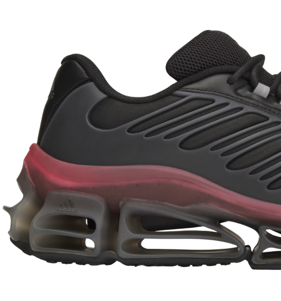 Black Chavarria Megaride AG XL