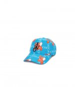 Blue Baseball Cap
