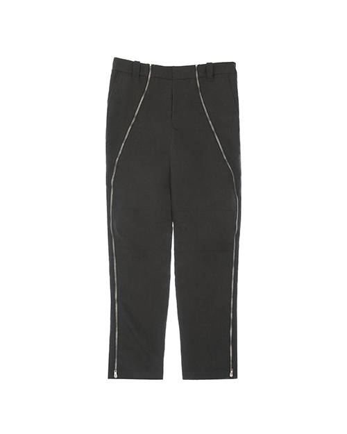 Zip V17 Ash Pants