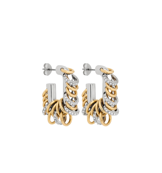 Gold/Silver Boucle D'Oreill Earrings