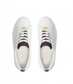 Keaton White Brown Logo Lace Up