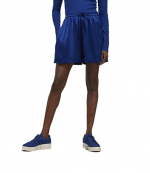Y-3 Royal Blue Tech Silk Shorts