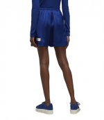 Y-3 Royal Blue Tech Silk Shorts
