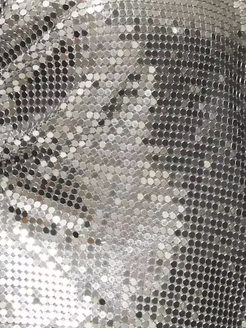 Silver Crop Top