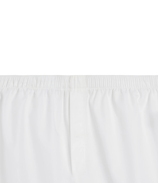 Ami De Coeur White Boxer