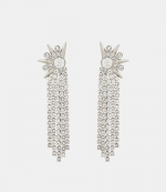 Ornemental Earrings