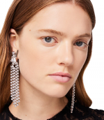Ornemental Earrings