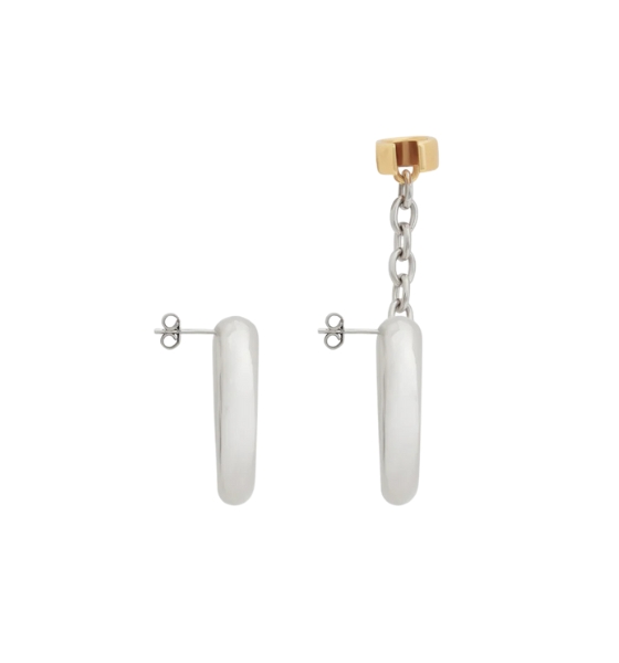 Silver/Gold Earings