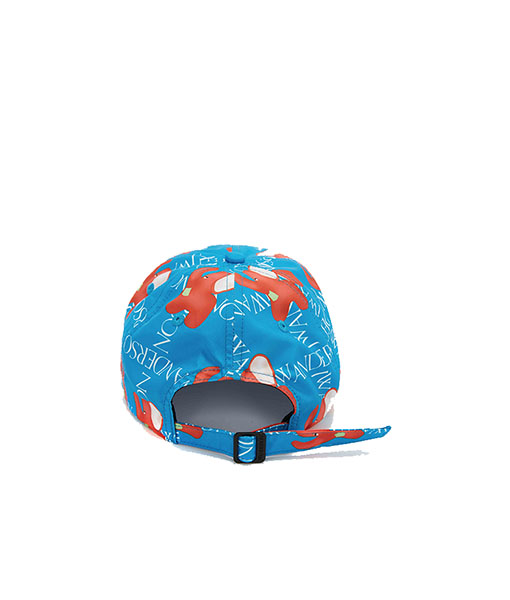 Blue Baseball Cap