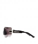 Sunglasses & Case E15 144-0 SI Dark G