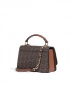 Delancey Brn/Luggage SM EW TH Chain Xbody Bag