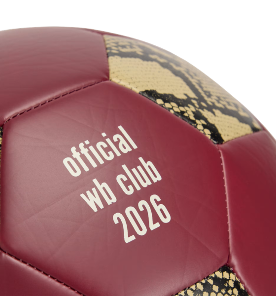 Collegiate Burgundy WB Football Ball