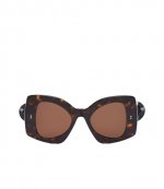 Tortoiseshell Twister Eyewear