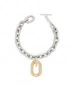 Silver/Gold Collier Choker