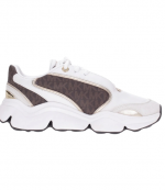 Renny Brown Trainer