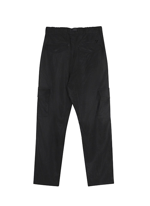 Wash TW Pants