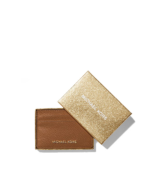Jet Set Luggage Small Card Case