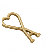 Gold Metal Ami De Coeur Hook Keyring