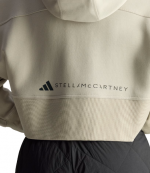 Grey aSMC Crop Hoodie