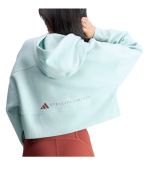 Mint aSMC Cropped Hoodie