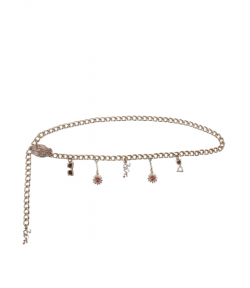 Summer Charm Gold Belt