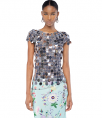 Silver Top Short Sleeves