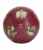 Collegiate Burgundy WB Football Ball