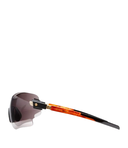 Sunglassess & Case E5100-99 BRH DarkG